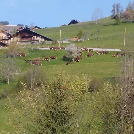 Apartmán Le Flocon Hauteluce